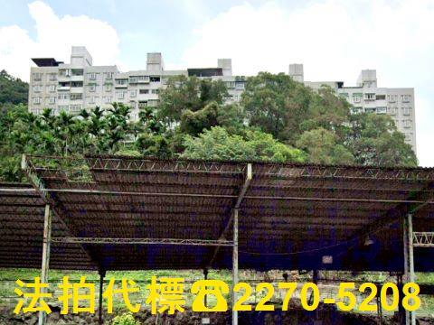 新北三峽法拍華廈-6