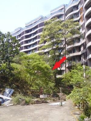 新北汐止大樓法拍-5