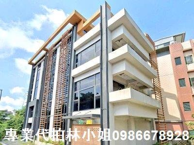 新北林口法拍華廈-3