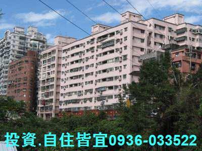 新店法拍華廈-1