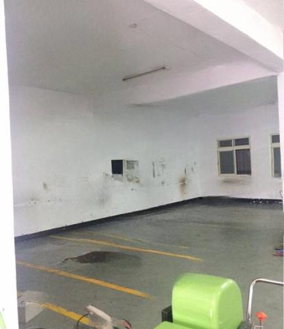 新北新莊廠房-1