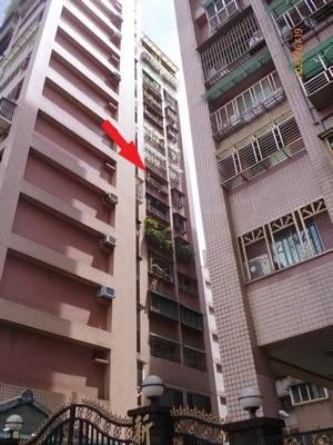 新北樹林大樓法拍-3