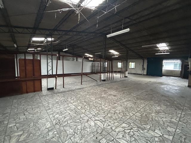 新北樹林廠房-1