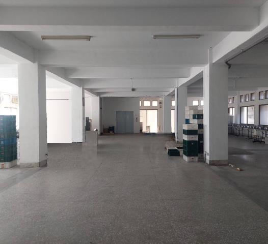 新北廠房-1
