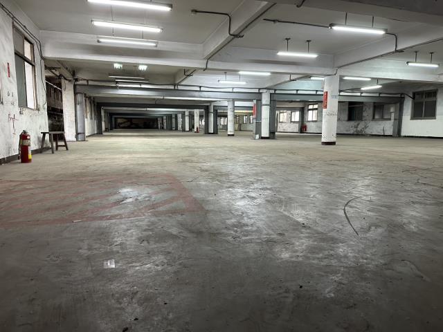 新北五股廠房-1