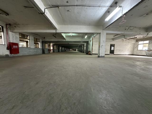 新北五股廠房-2
