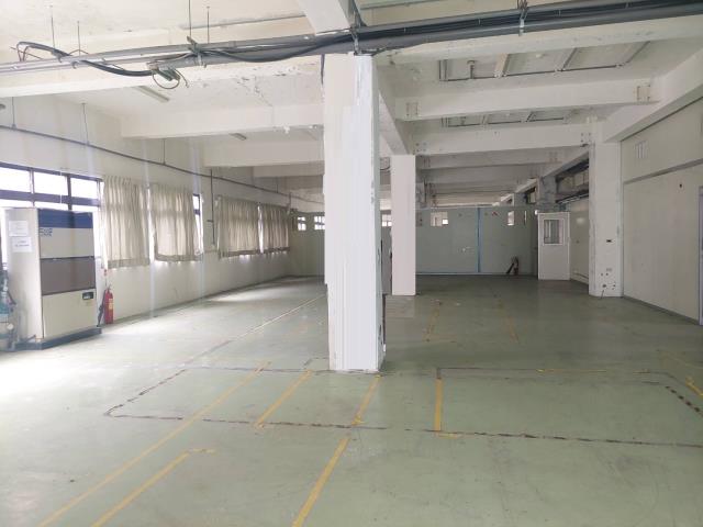 新北五股廠房-3