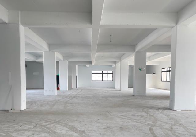 新北五股廠房-0