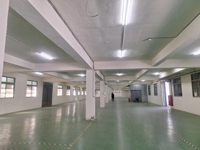 土城廠房-0