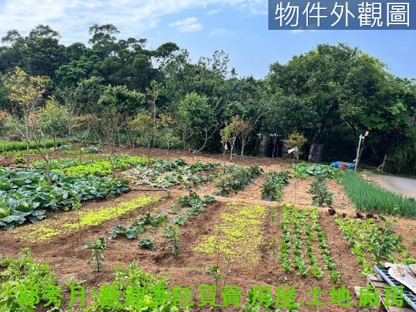 新北淡水農地-0