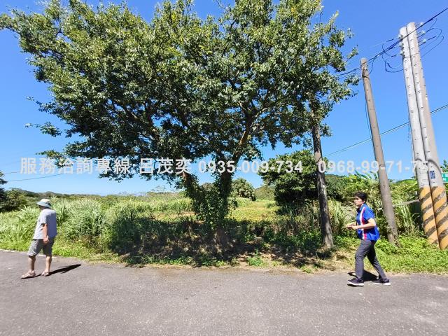 新北石門農地-12
