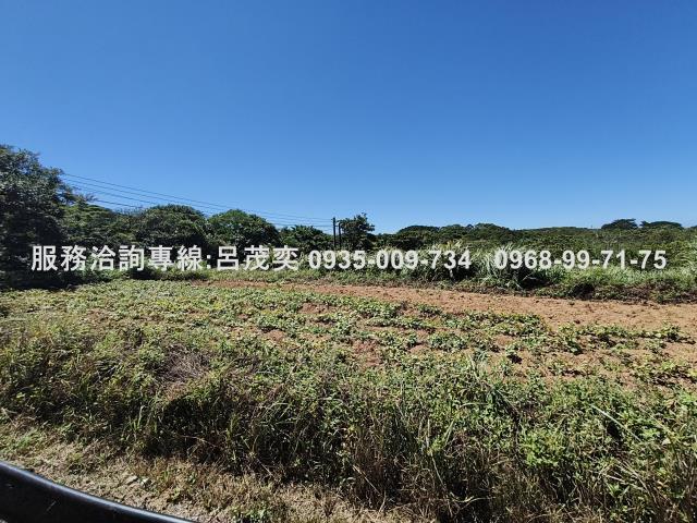 新北石門農地-1
