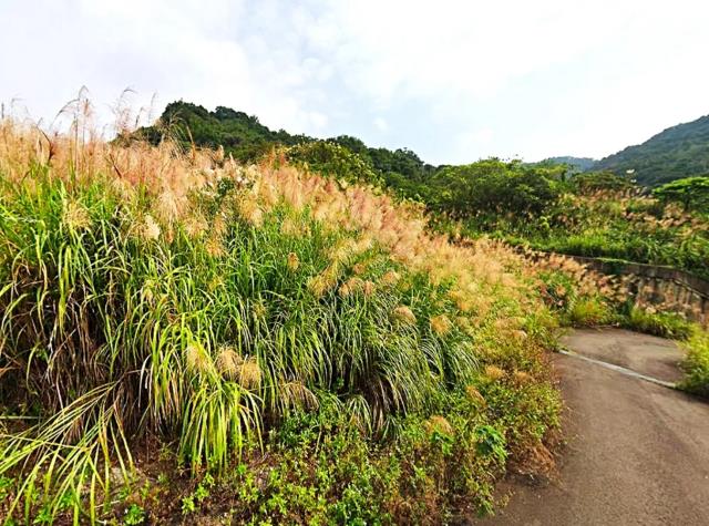 新北鶯歌工業地-0