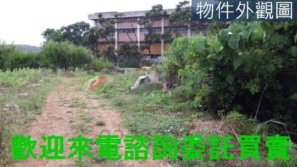 新北農地-1