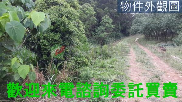 新北農地-3